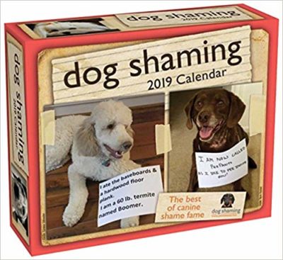 Dog Shaming 2019 Calendar