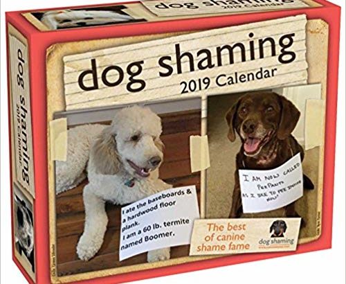 Dog Shaming 2019 Calendar