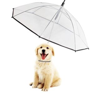 Dog Umbrella/Leash