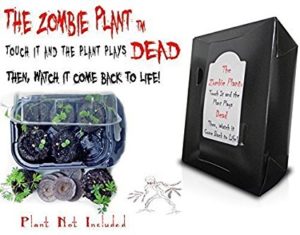 Zombie Plant
